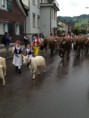 /album/alpabzug-urnasch/img-1226-jpg/