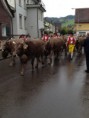 /album/alpabzug-urnasch/img-1227-jpg/