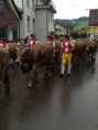 /album/alpabzug-urnasch/img-1229-jpg/