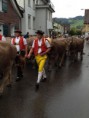 /album/alpabzug-urnasch/img-1230-jpg/