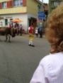 /album/alpabzug-urnasch/img-1238-jpg/